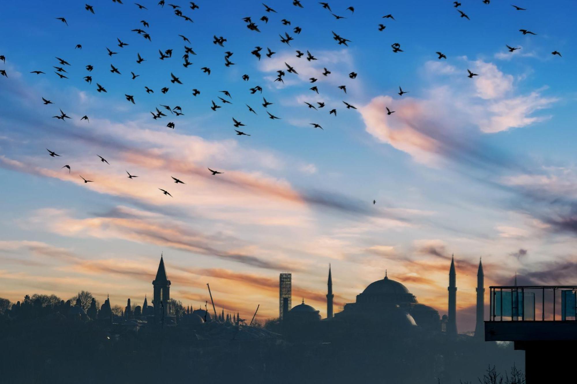 Bosphorus View-airport Shutle-high Speed Wifi-private Parking Daire *